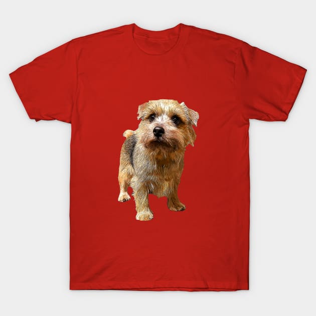 Norfolk Terrier T-Shirt by ElegantCat